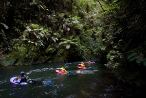 Rotorua Sledging: Kaituna White Water River Board Experience