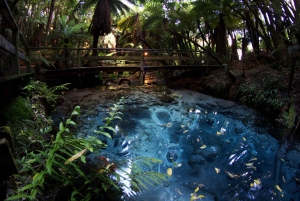 Mitai Maori Village: Cultural Experience and Dinner Buffet