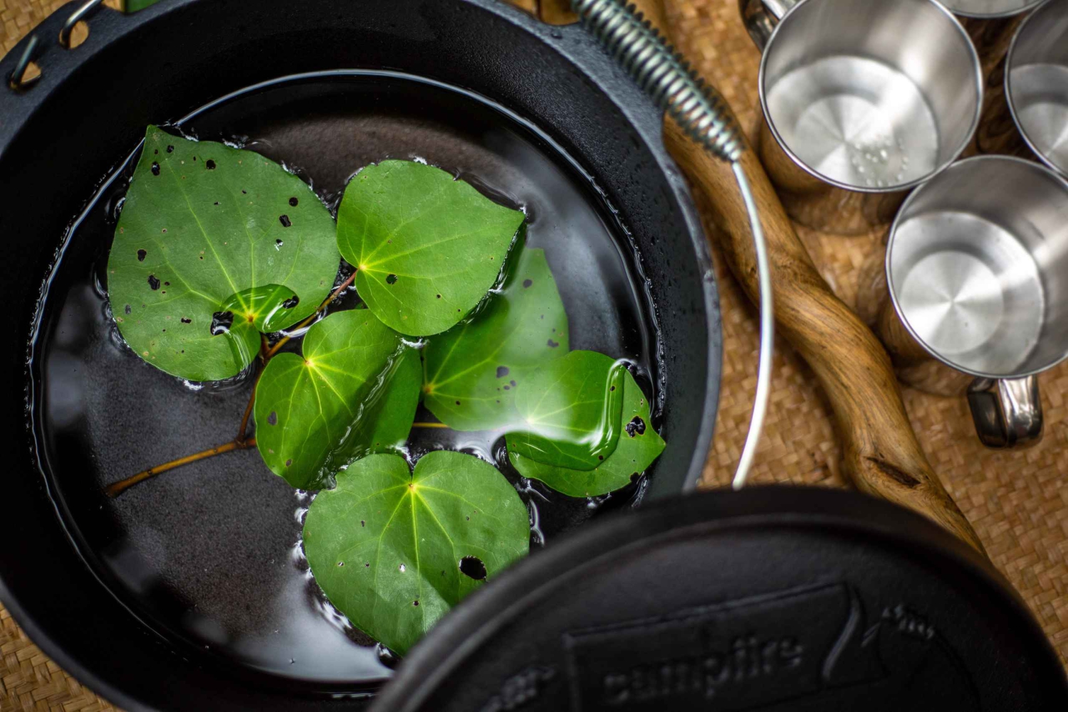 Whirinaki Forest Footsteps guidet vandring