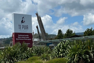 Excursion d'une journée à Rotorua pour découvrir Te Puia et la promenade des séquoias