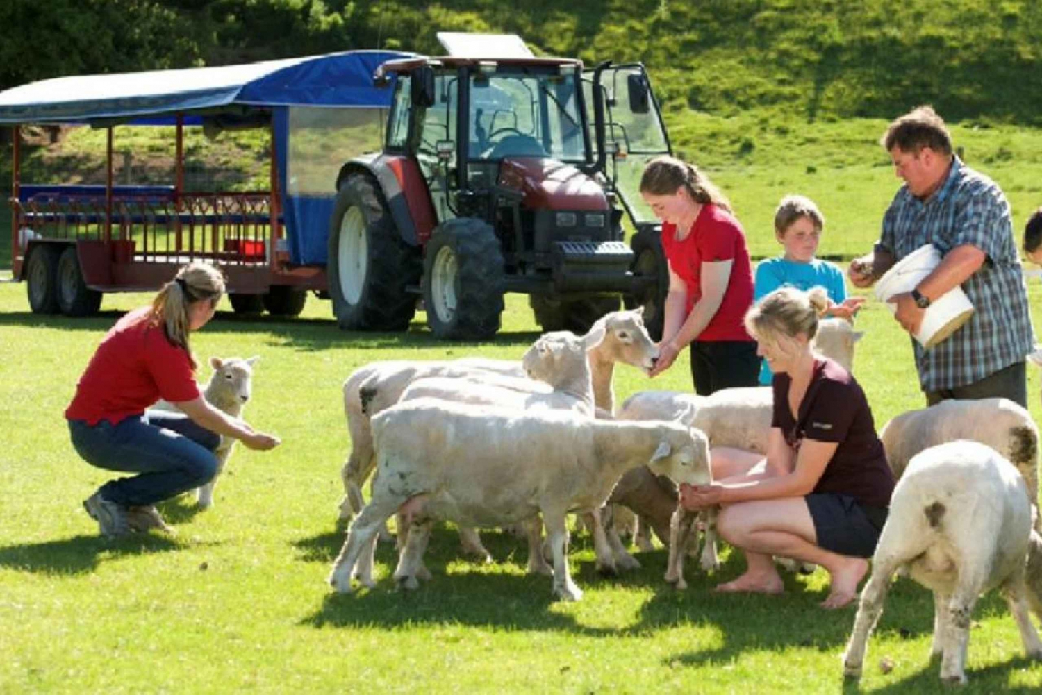 Rotorua Adventures Tour privato