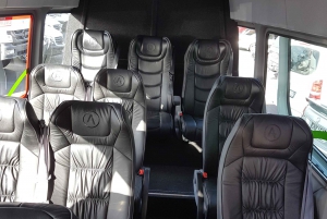 Au départ d'Auckland : Excursion d'une journée à Rotorua avec options supplémentaires