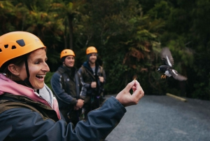 Rotorua: Guided Zipline Adventure Tour with Photos