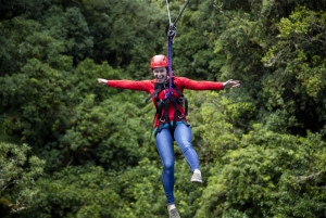 Rotorua: Guided Zipline Adventure Tour with Photos