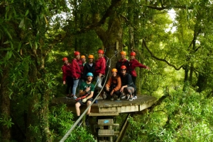Rotorua: Guided Zipline Adventure Tour with Photos