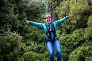 Rotorua: Guided Zipline Adventure Tour with Photos