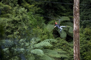 Rotorua: Guided Zipline Adventure Tour with Photos
