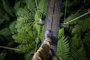Rotorua: Guided Zipline Adventure Tour with Photos