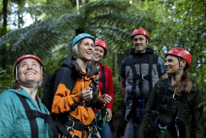 Rotorua: Guided Zipline Adventure Tour with Photos