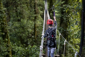 Rotorua: Guided Zipline Adventure Tour with Photos