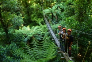 Rotorua: Guided Zipline Adventure Tour with Photos