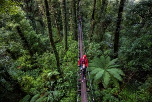 Rotorua: Guided Zipline Adventure Tour with Photos