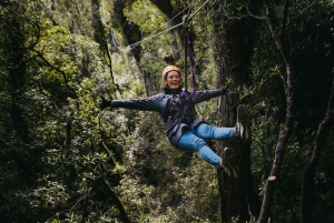 Rotorua: Guided Zipline Adventure Tour with Photos