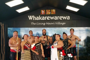 Auckland: Waitomo-grottene og Te Puia Rotorua med pikniklunsj