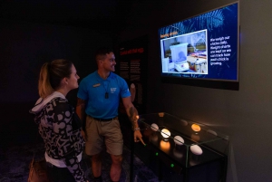 Rotorua: Die National Kiwi Hatchery Kiwi Encounter Tour