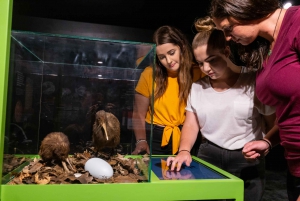Rotorua: Die National Kiwi Hatchery Kiwi Encounter Tour