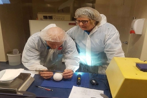 Rotorua: Die National Kiwi Hatchery Kiwi Encounter Tour