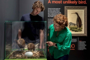 Rotorua: Die National Kiwi Hatchery Kiwi Encounter Tour