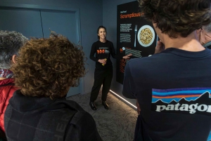 Rotorua: Die National Kiwi Hatchery Kiwi Encounter Tour