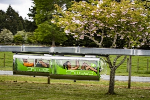 Rotorua: Velocity Valley – bilet na jeden przejazd