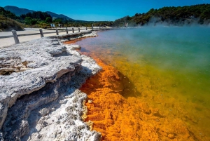 Rotorua: Wai-O-Tapu, punapuut ja salainen paikka -päiväretki