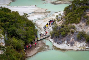 Rotorua: Wai-O-Tapu, punapuut ja salainen paikka -päiväretki