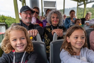 Tarawera und Seen 2-stündige Enten Eco Tour