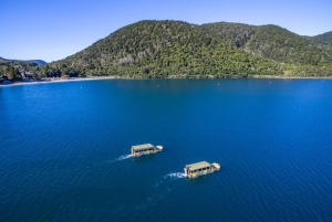 Tarawera und Seen 2-stündige Enten Eco Tour