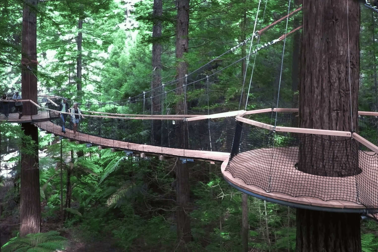 Tauranga: Rotorua Redwoods Tour & Maori Village Experience