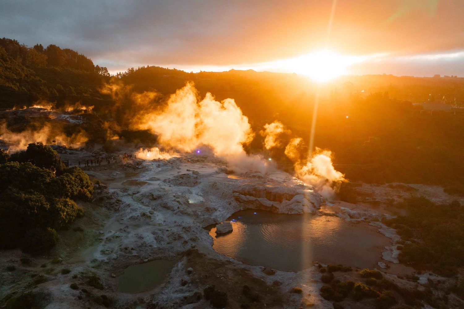 Te Puia: Combo Indigeno Te Pō - Tour, Cena e Haka