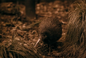 Te Puia: wycieczka 1-dniowa z przewodnikiem Te Rā + występ kulturalny Haka