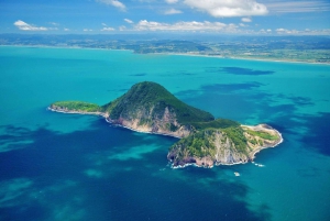 White Island & Whale Island 1-Hour Volcano Scenic Flight