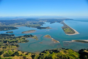 White Island & Whale Island 1-Hour Volcano Scenic Flight