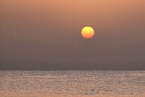 Doha: quadrit, woestijnsafari, buggyrit en tocht op de binnenzee