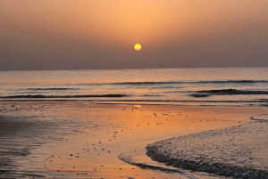 Doha: quadrit, woestijnsafari, buggyrit en tocht op de binnenzee