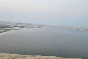 Doha: quadrit, woestijnsafari, buggyrit en tocht op de binnenzee