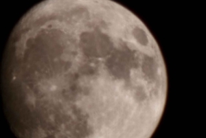 Doha: quadrit, woestijnsafari, buggyrit en tocht op de binnenzee