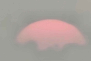 Doha: quadrit, woestijnsafari, buggyrit en tocht op de binnenzee