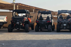 Doha: quadrit, woestijnsafari, buggyrit en tocht op de binnenzee