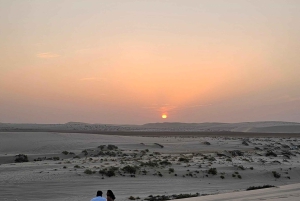 Doha: quadrit, woestijnsafari, buggyrit en tocht op de binnenzee