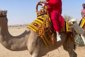 Edge of The World Riyadh, kamelritt, besøk i flaggermusgrotten og middag