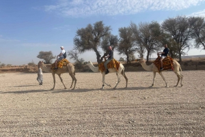 Edge of The World Riyadh, kamelritt, besøk i flaggermusgrotten og middag