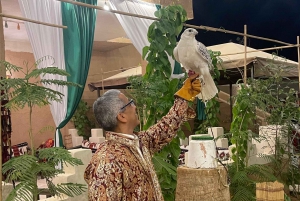 Edge of The World Riyadh, kamelritt, besøk i flaggermusgrotten og middag