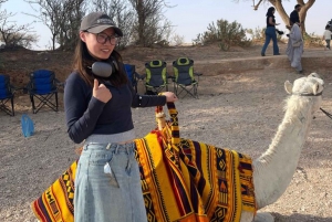 Edge of The World Riyadh, kamelritt, besøk i flaggermusgrotten og middag