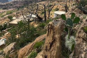 Au départ d'Alreeth : excursion à la montagne noire et à la plantation de café