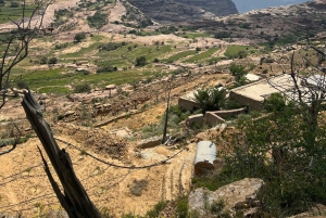 Au départ d'Alreeth : excursion à la montagne noire et à la plantation de café