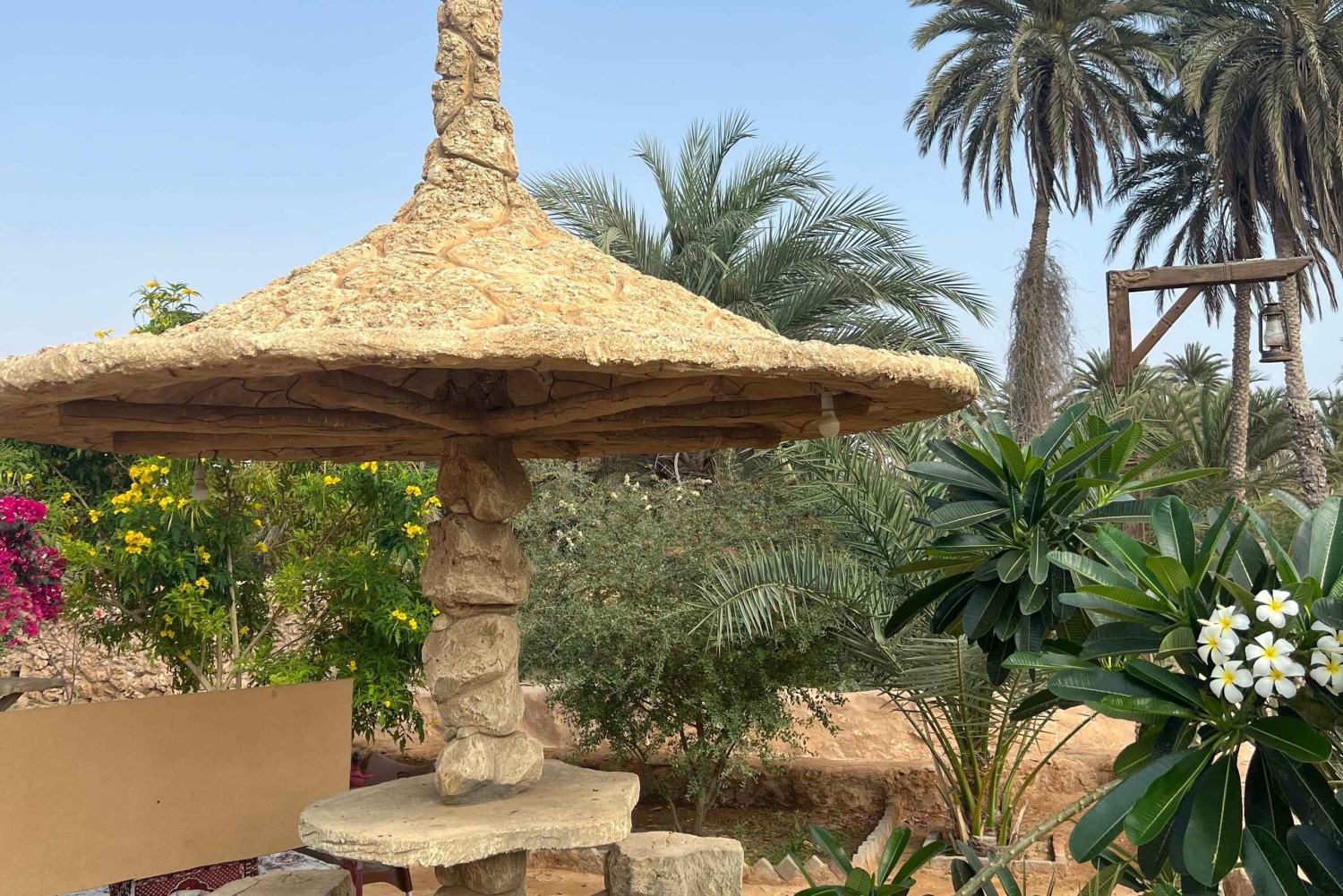 Vanuit Jazan: 2-daagse dagtrip naar het eiland Farasan met accommodatie