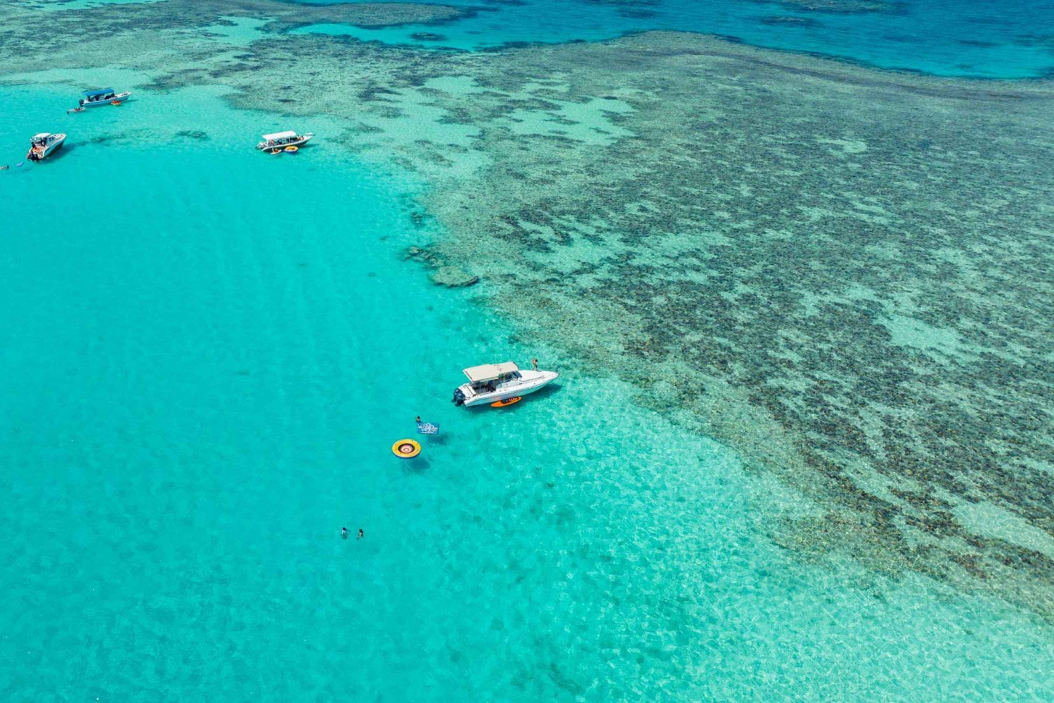 Fra Jeddah: Privat sjøtur til Bayadah Island