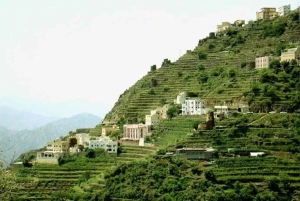 Джазан: однодневная поездка с гидом по горе Фифа и главным достопримечательностям города