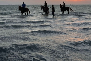 Djeddah : balade à cheval guidée